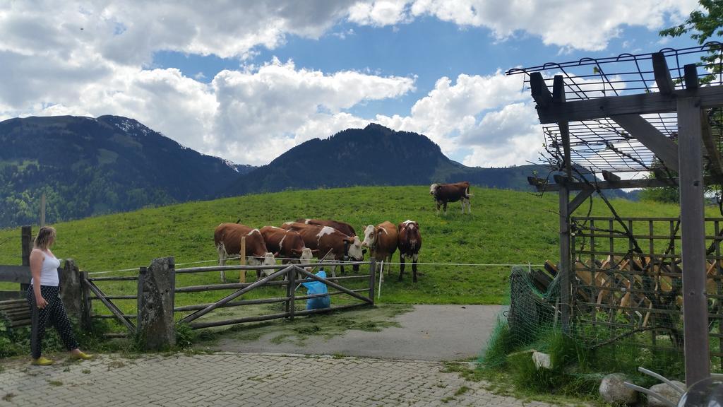 Appartements Berger Kitzbuehel Eksteriør bilde